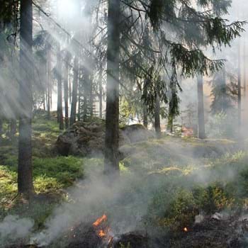 Überwachungsflüge aufgrund erhöhter Waldbrandgefahr im Landkreis Pfaffenhofen