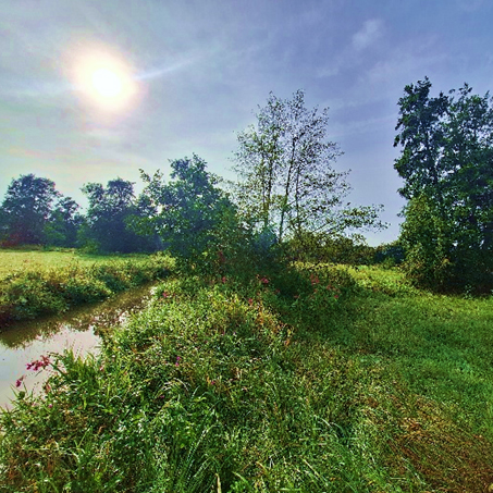 ein Bach und eine Wiese