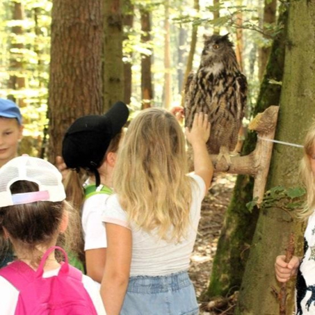 Kinder bestaunen einen präparierten Uhu